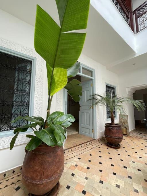 Riad Vivre - Design Boutique Riad In Marrakech Marrakesh Exterior foto